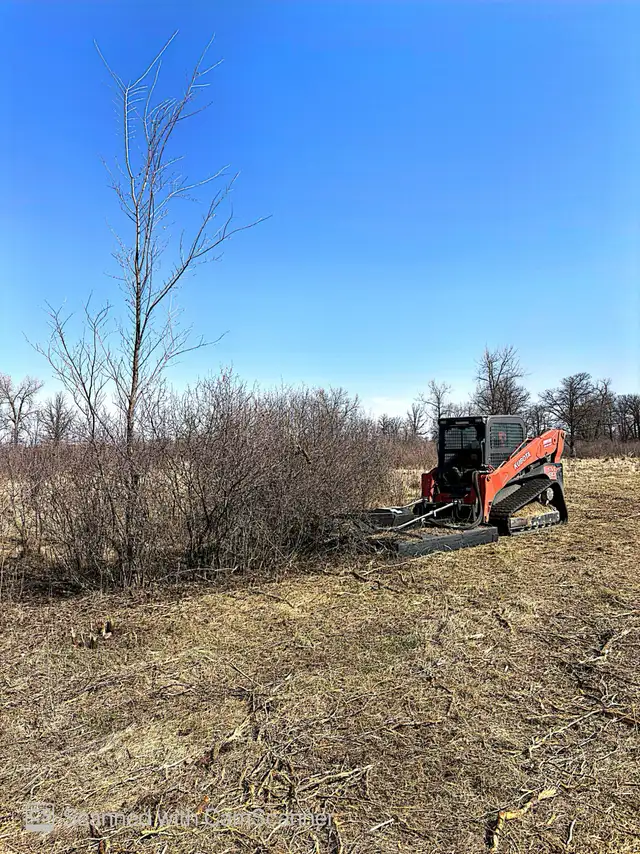 Brush Mowing 460148150769428482