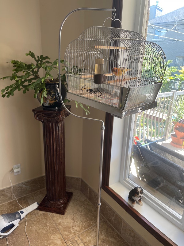 Canaris et cage à oiseaux, avec support, c'est un canaris belge