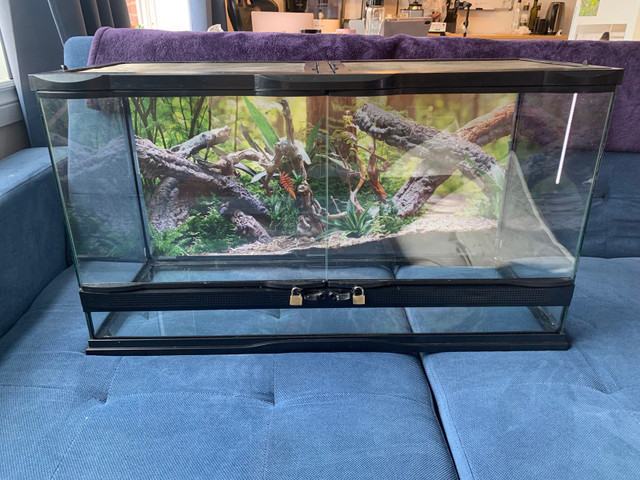 DOUBLE LOCK 20 GAL TERRARIUM in Reptiles & Amphibians for Rehoming in City of Halifax - Image 2