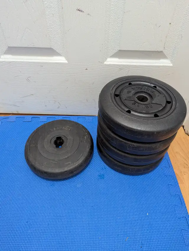 vinyl weight plates $0.50/lbs in Exercise Equipment in Delta/Surrey/Langley - Image 7