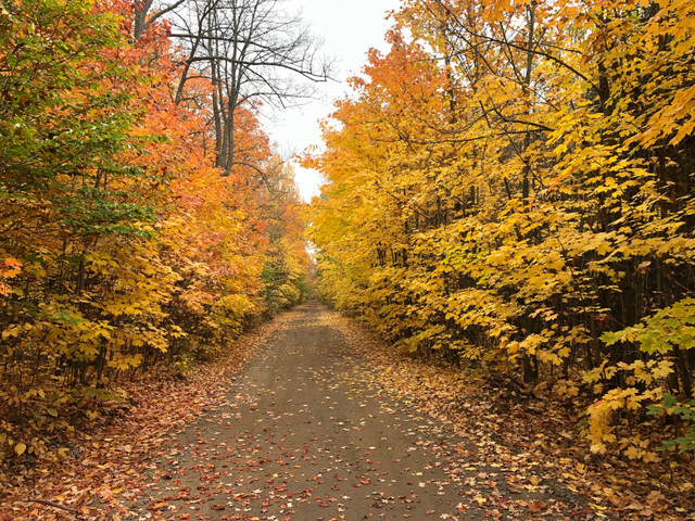 Terre à bois.   10 arpents / 8,5 acres à St-Barthelemy dans Terrains à vendre  à Lanaudière