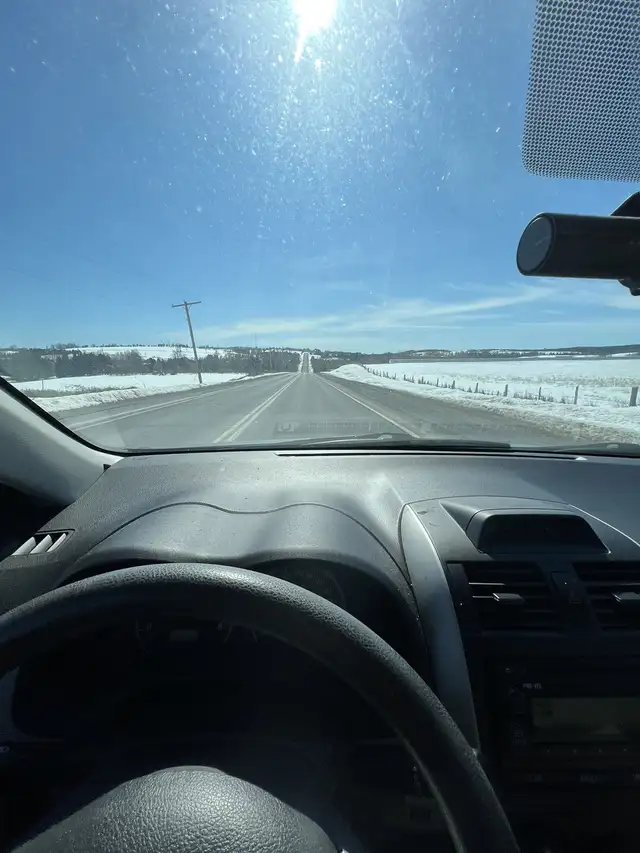 GTA to Windsor (Female Driver) in Rideshare in Mississauga / Peel Region - Image 2