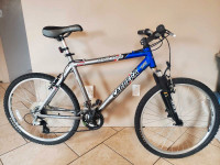 Teen / Adult size Carrera Vertigo 24 Speed Mountain Bike