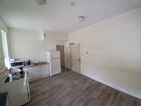 1 Bedroom Apartment - Herbert - Furnished Available