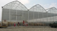 General Greenhouse Construction Labor No experience