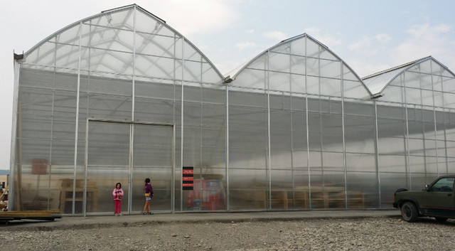 General Greenhouse Construction Labor No experience in General Labour in St. Albert