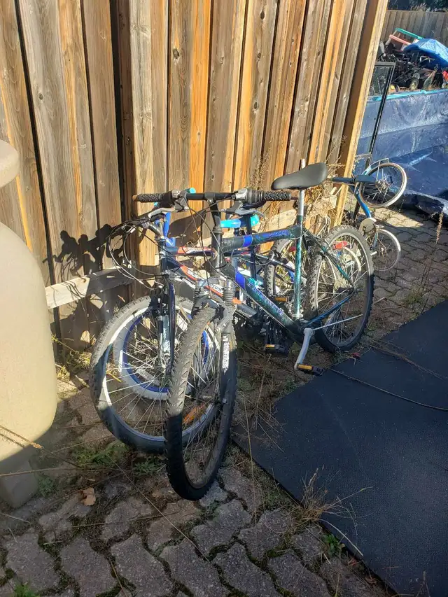 Bikes Bikes Bikes600954238760407041