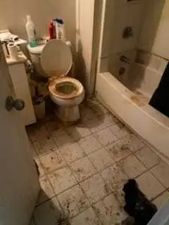 Gigi Cleaning Pro