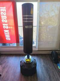 Punching bag / heavyweight bag