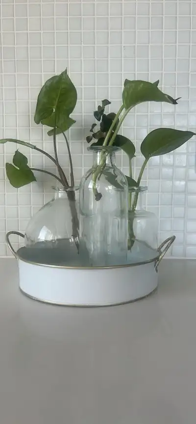 7” round tin tray with 3 glass vases, View more