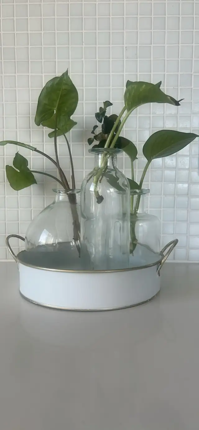7” round tin tray with 3 glass vases in Home Décor & Accents in City of Toronto - Image 2