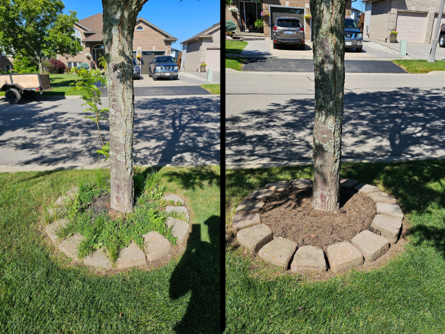 Fall Cleanup - Landscaping - Gardening in Haldimand & Niagara in Lawn, Tree Maintenance & Eavestrough in Hamilton - Image 9