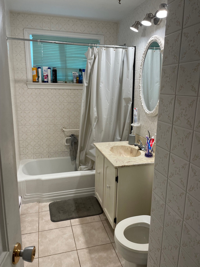 Private room for rent  in Room Rentals & Roommates in Fredericton - Image 4