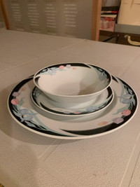 Dinner Plate Sets $100 for everything