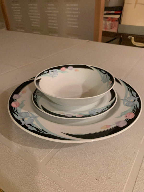 Dinner Plate Sets $100 for everything in Kitchen & Dining Wares in Hamilton