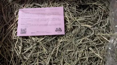 Oxbow Western Timothy Hay - 7lb bags (2 avail), View more
