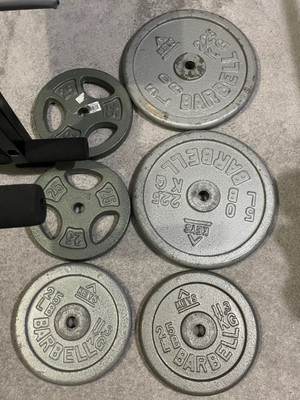 Weight Plates | Kijiji in Ottawa / Gatineau Area. - Buy, Sell & Save with  Canada's Original Marketplace
