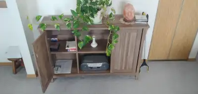 Sturdy, attractive table cabinet can be used for CD, DVD, book storage or as a sideboard. 46" long x...