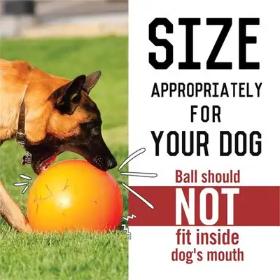 Hueter® Toledo Virtually Indestructible Ball for Dogs, 10”, View more