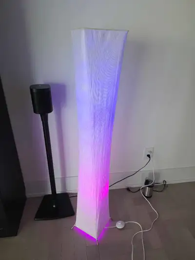 LED Floor Lamp 2 Bulbs with Remote, View more