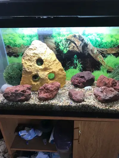 Aquarium lava rocks, View more