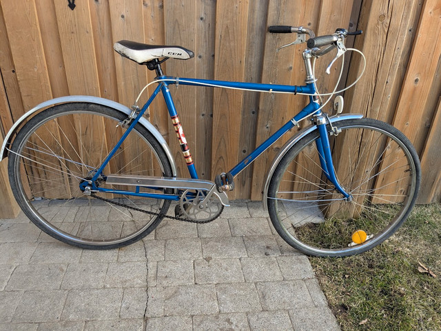 Bikes for Boys / Men ( Tires 26", 29" & 700 ) in Mountain in Kitchener / Waterloo - Image 4