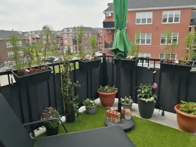 4 ½ au 2e étage, Quartier Émile Zola, Juillet gratuit