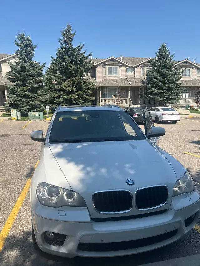 Mechanic Special** BMW X5 (2013)