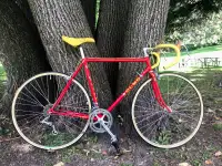 Vintage Olmo Road Biker