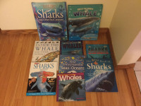 Books about sharks