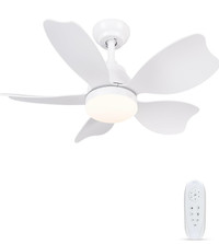 Newday Ceiling Fans with Lights, 30 inch Ceiling Fan