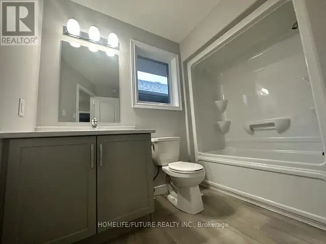 Looking for tenant to rent in Room Rentals & Roommates in Peterborough - Image 28