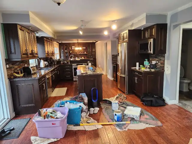 professional painter 452412019594373124