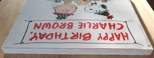 PEANUTS BOOK - HAPPY BIRTHDAY CHARLIE BROWN - 1980 - LIKE NEW ! in Children & Young Adult in Laval / North Shore - Image 8