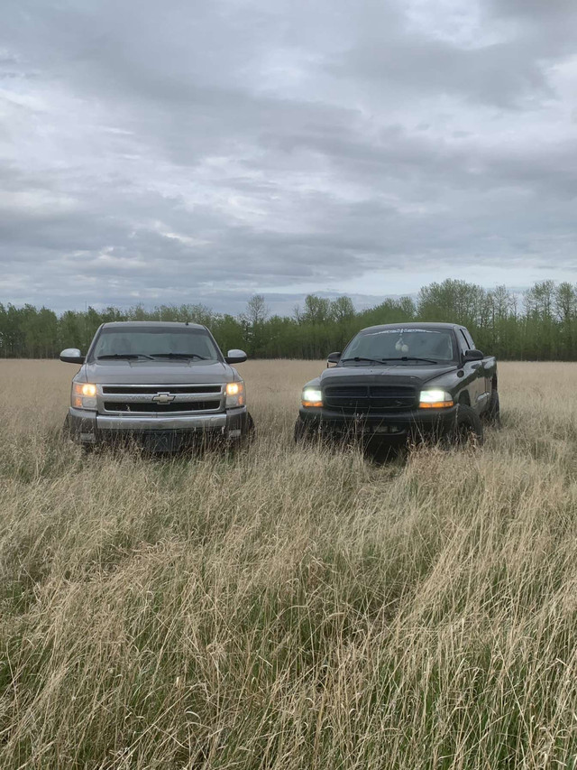 2007 Chevy Silverado 1500 5.3L in Cars & Trucks in Edmonton - Image 3