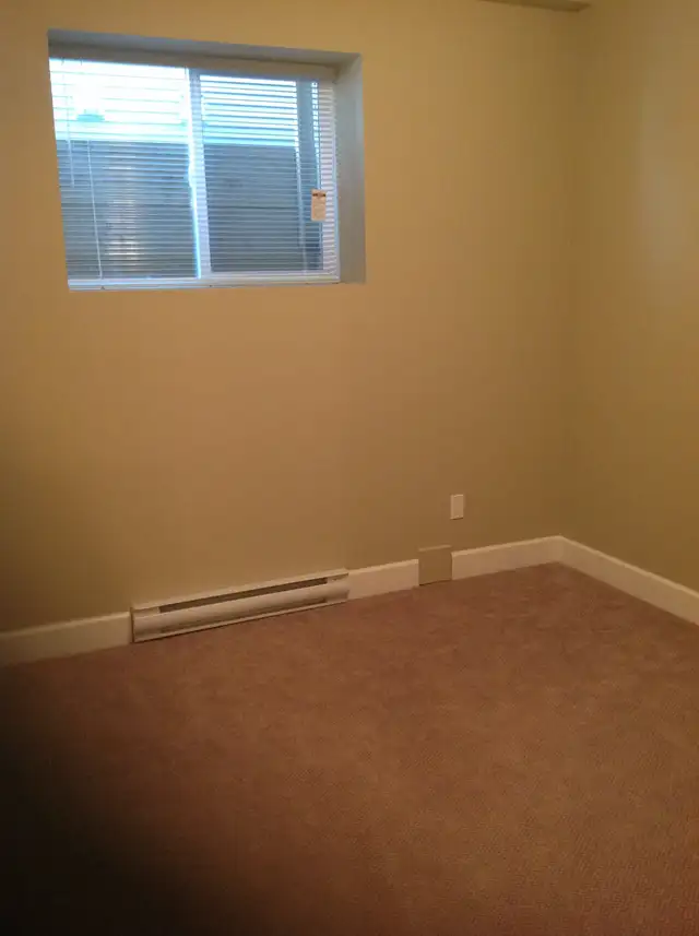1 Bedroom Basement Suite for Rent - Willoughby in Long Term Rentals in Delta/Surrey/Langley - Image 7