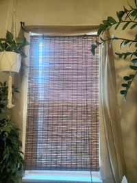 Bamboo window shades