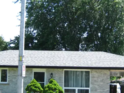 FREE TREE REMOVAL IN EXCHANGE FOR WOOD,3 TREES 1 JAPANESE WEEPING CHERRY40FT.,2 SILVER MAPLES 65 TO...