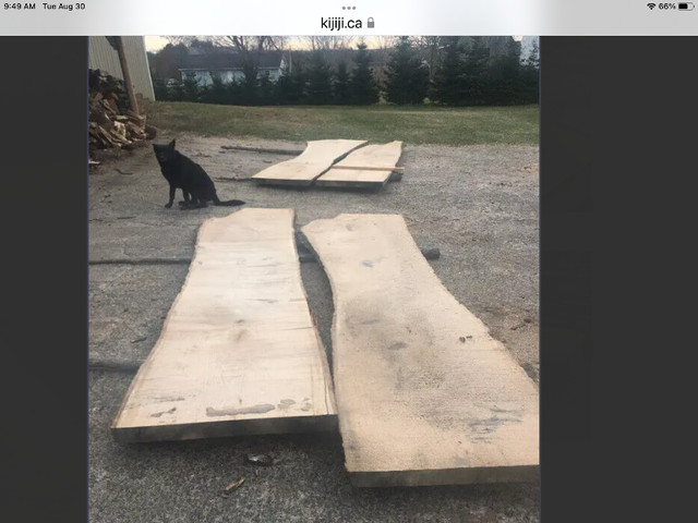 Oak slabs in Other in Annapolis Valley