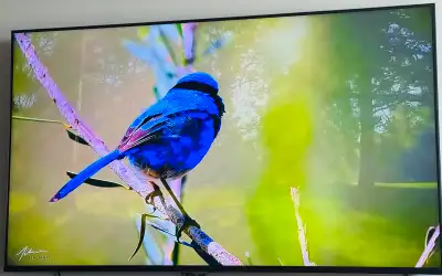 TV Sony 65” 4K UHD HDR Smart Google TV (KD65X80K) – Excellent Co, View more