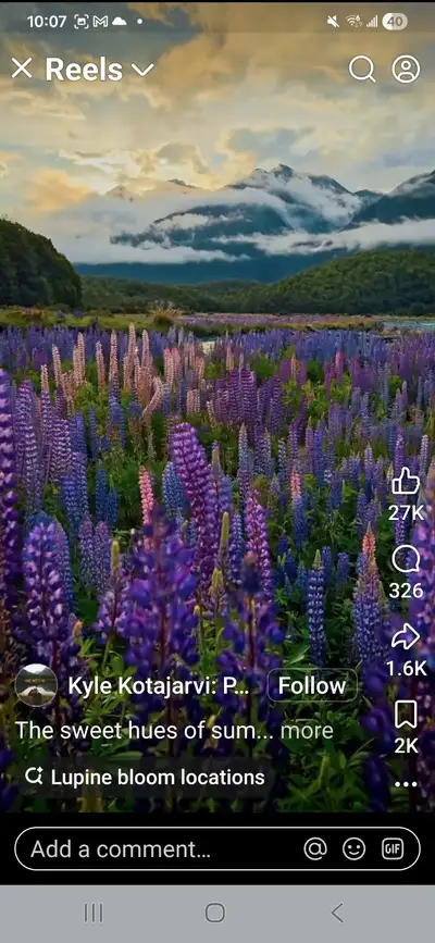 Best cleaner, View more