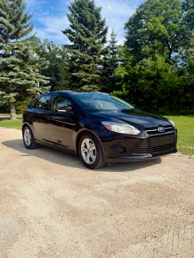 2014 Ford Focus509908000661186563