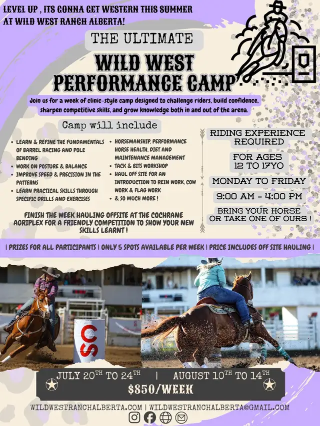 Performance Horse Camp436542165756815360