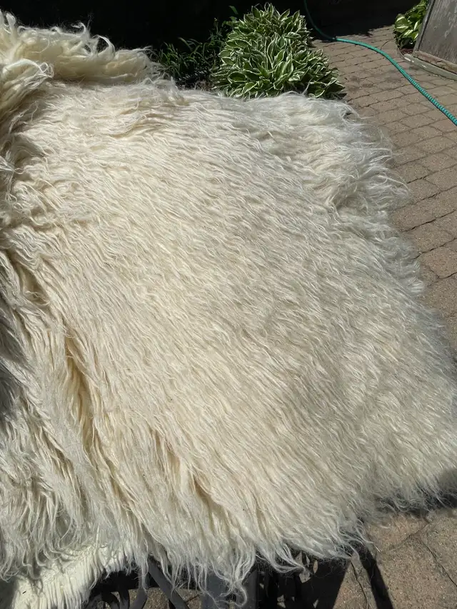 NEW PRICE: GREEK FLOKATI RUG – 100% PURE NEW WOOL – NEVER USED in Rugs, Carpets & Runners in Ottawa - Image 4