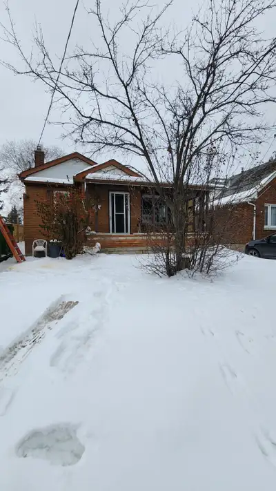 House for rent