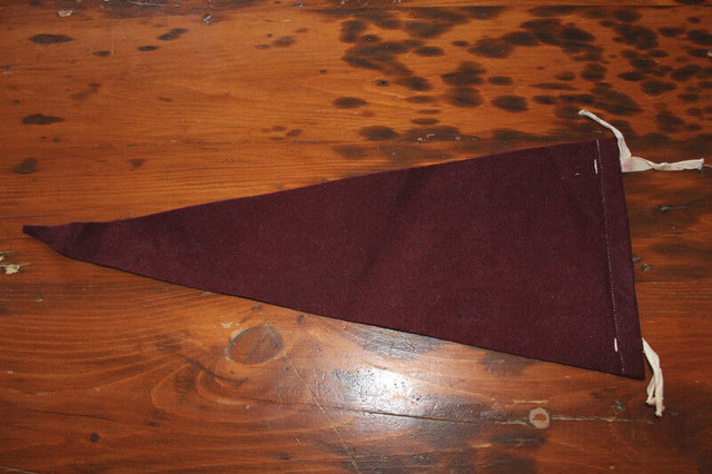 Old Felt Pennant - Sydney, NSW in Arts & Collectibles in London - Image 3