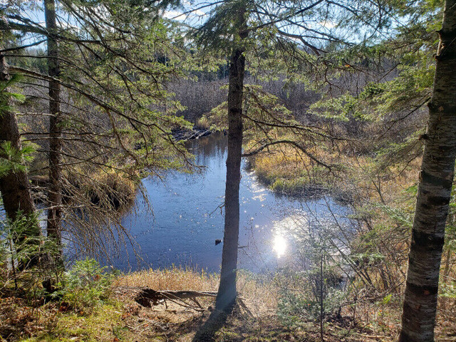 Terrain a vendre  2 acres Kazabazua River ( if ad is up its stil in Land for Sale in Gatineau