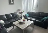 Living room sofa (3+3) - $850