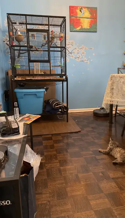 Big Bird Flight Cage with Stand with Accessories $150 OBO, View more