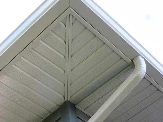 THE GUTTER DOCTOR! Home Exterior Services. Gutter Clean & Fix.62863719543169122